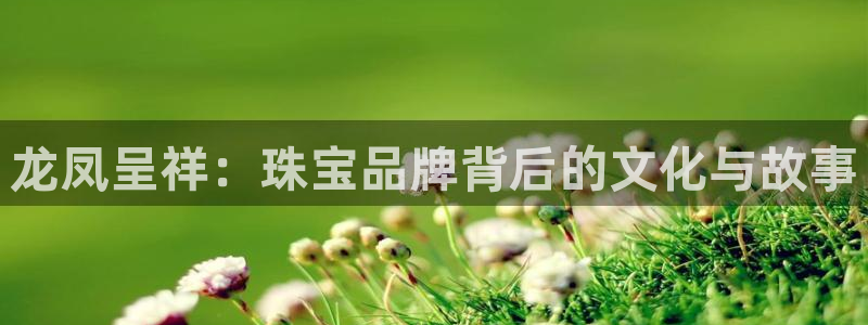 众联别墅g座上腾娱乐有限公司