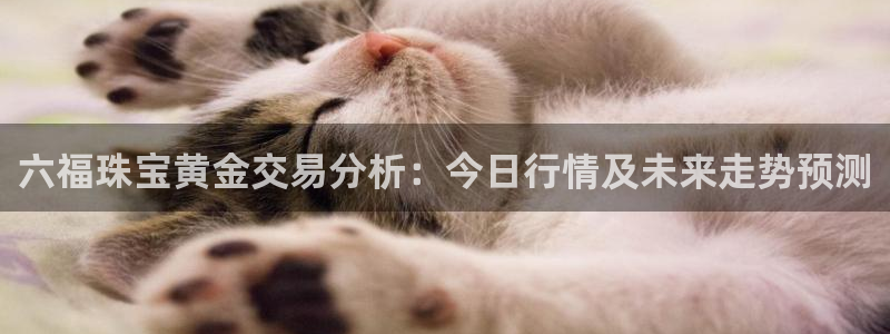 云南众腾娱乐