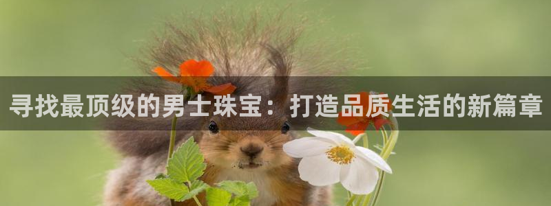 众腾娱乐登入探索无限空间