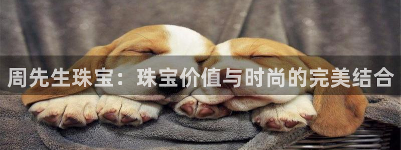 众腾娱乐平台群7O777
