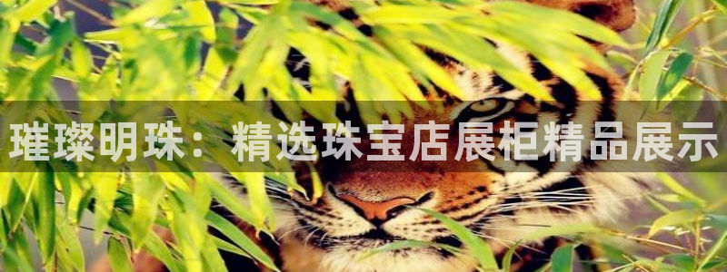 众腾娱乐集团有限公司