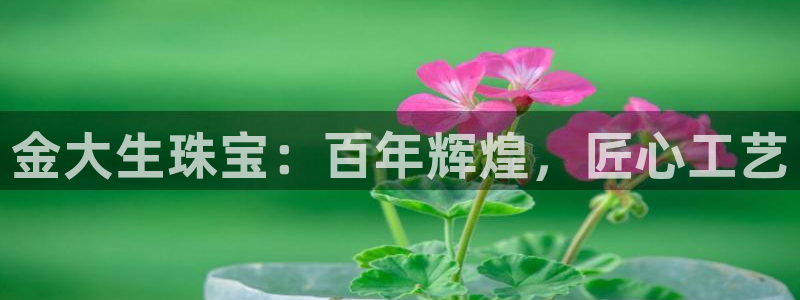 腾众娱乐是个啥