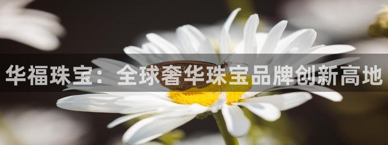 众腾娱乐平台下载