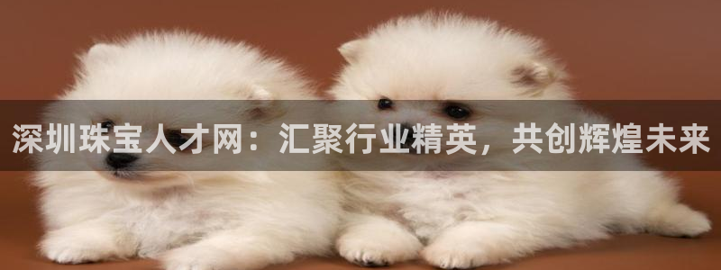 众腾娱乐集团有限公司：深圳珠宝人才网：汇聚行业精英，共创辉煌