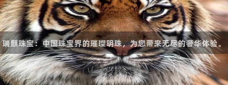 腾众娱乐：瑞麒珠宝：中国珠宝界的璀璨明珠，为您带来无尽的奢华