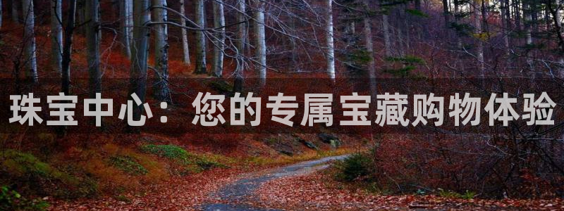 众腾娱乐开户：珠宝中心：您的专属宝藏购物体验