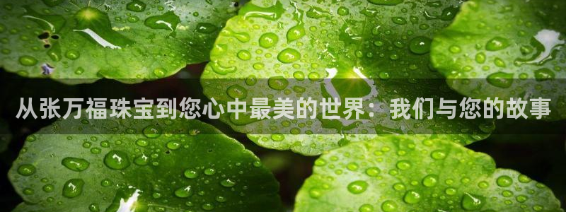 腾众娱乐：从张万福珠宝到您心中最美的世界：我们与您的故事