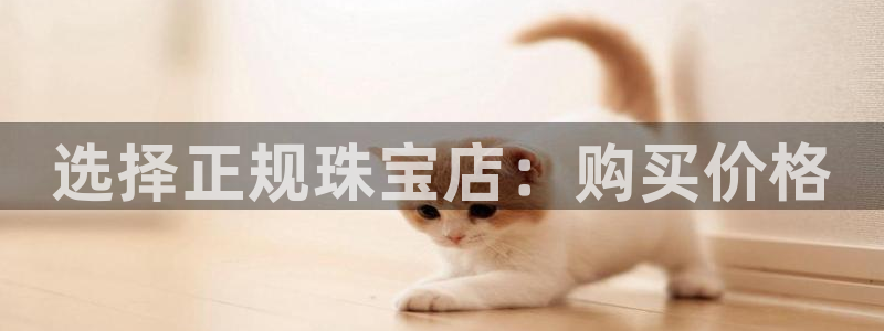 众腾娱乐