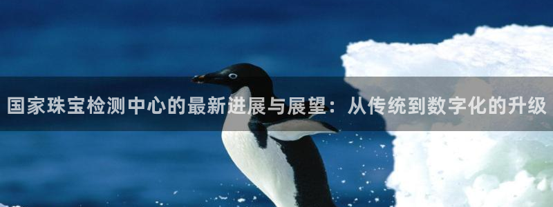 众联别墅g座上腾娱乐有限公司