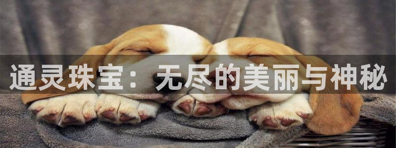 腾众娱乐的彩票靠谱吗