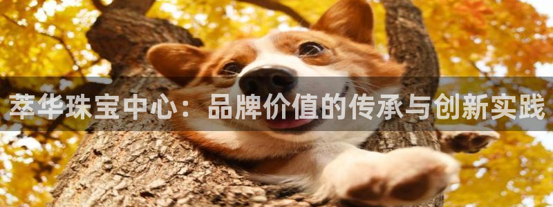 众腾娱乐app