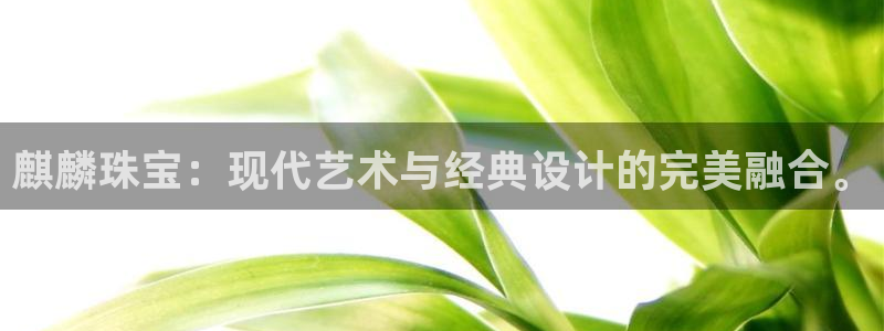 众腾娱乐招商