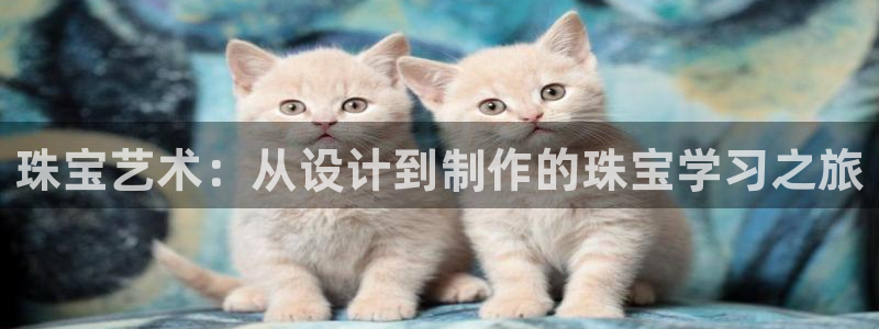 腾众娱乐：珠宝艺术：从设计到制作的珠宝学习之旅