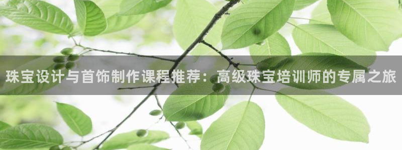 腾众娱乐的彩票靠谱吗：珠宝设计与首饰制作课程推荐：高级珠宝培