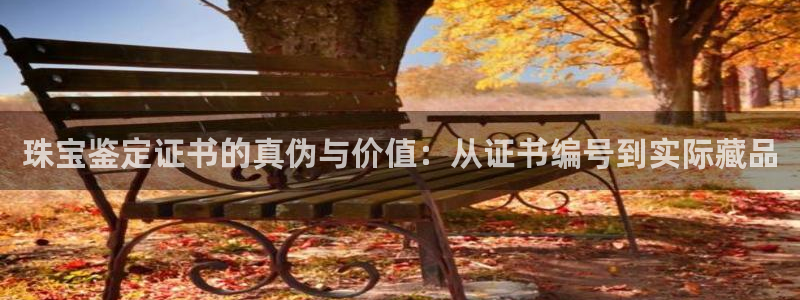 腾耀娱乐众320059：珠宝鉴定证书的真伪与价值：从证书编号