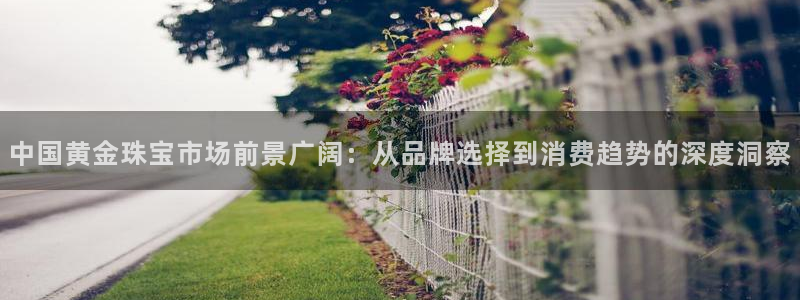 众腾娱乐app：中国黄金珠宝市场前景广阔：从品牌选择到消费趋