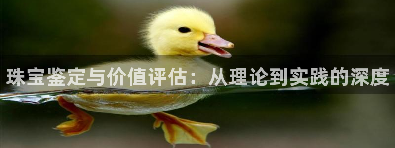 众腾娱乐