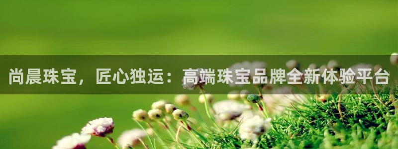 众腾娱乐注册：尚晨珠宝，匠心独运：高端珠宝品牌全新体验平台