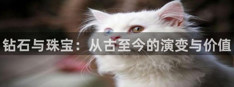 腾耀娱乐29999出众：钻石与珠宝：从古至今的演变与价值