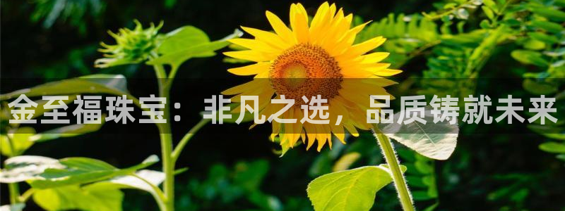 腾耀娱乐众推99840