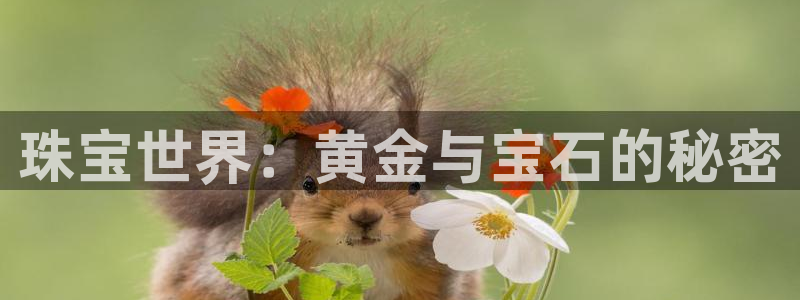 众腾娱乐官方客服电话：珠宝世界：黄金与宝石的秘密