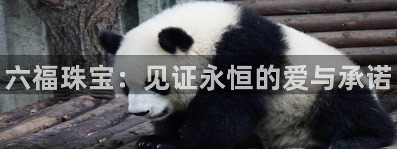 众腾娱乐登入探索无限空间