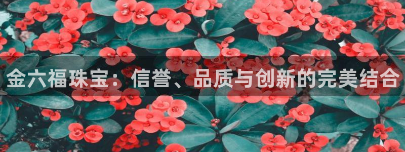 内蒙古众腾娱乐文化法人