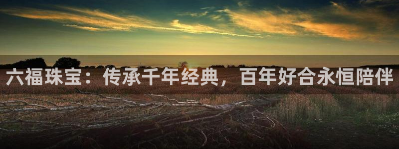 众腾娱乐平台下载