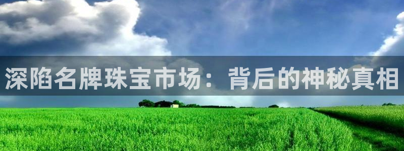 腾众娱乐是什么：深陷名牌珠宝市场：背后的神秘真相