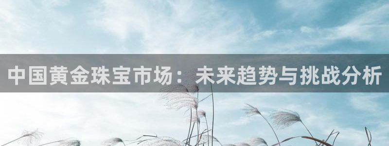腾耀娱乐众推55312：中国黄金珠宝市场：未来趋势与挑战分析