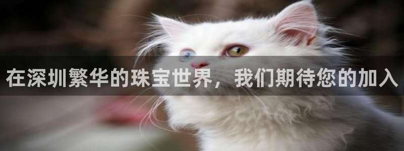 众腾娱乐发7O777：在深圳繁华的珠宝世界，我们期待您的加入