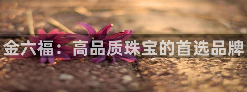 众腾娱乐发7O777：金六福：高品质珠宝的首选品牌