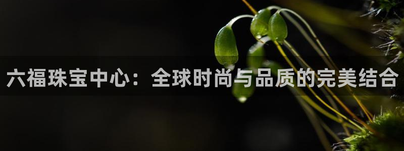 云南众腾娱乐