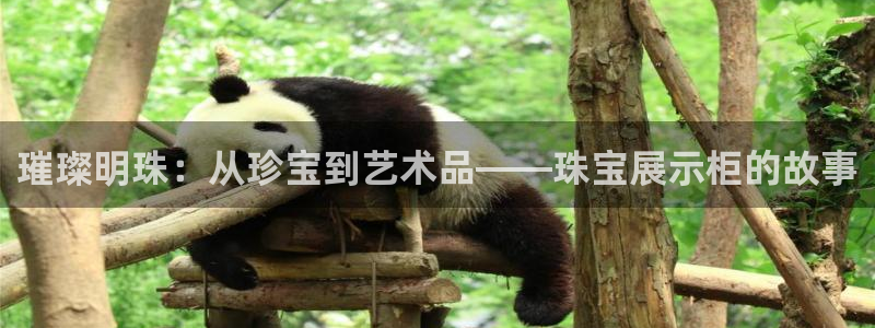 腾耀娱乐众推55312