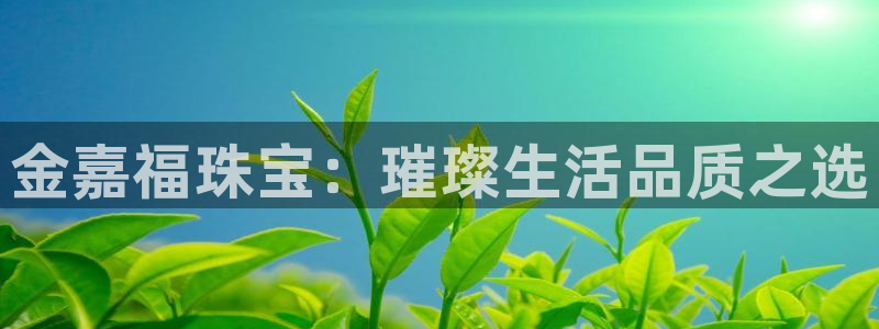 楚雄众腾娱乐：金嘉福珠宝：璀璨生活品质之选