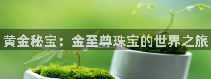 众腾娱乐文化怎么样