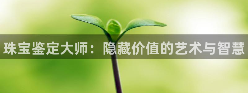 楚雄众腾娱乐：珠宝鉴定大师：隐藏价值的艺术与智慧