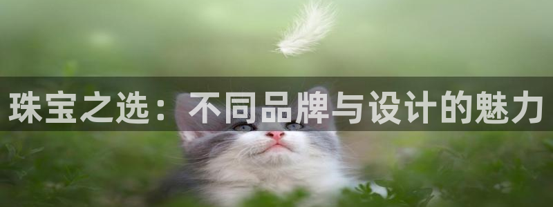 众腾娱乐代理怎么样：珠宝之选：不同品牌与设计的魅力