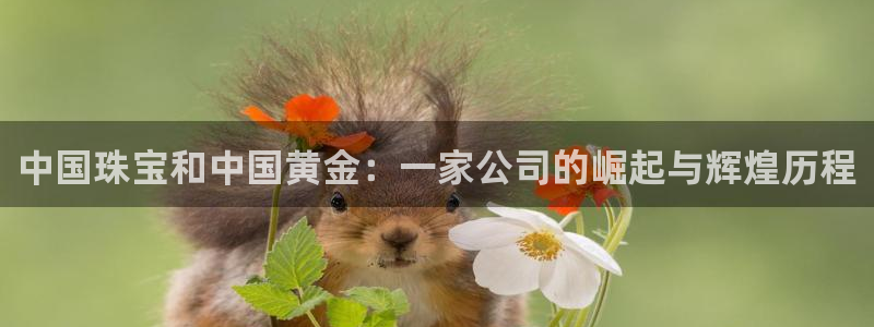 腾讯旗下的腾众娱乐：中国珠宝和中国黄金：一家公司的崛起与辉煌