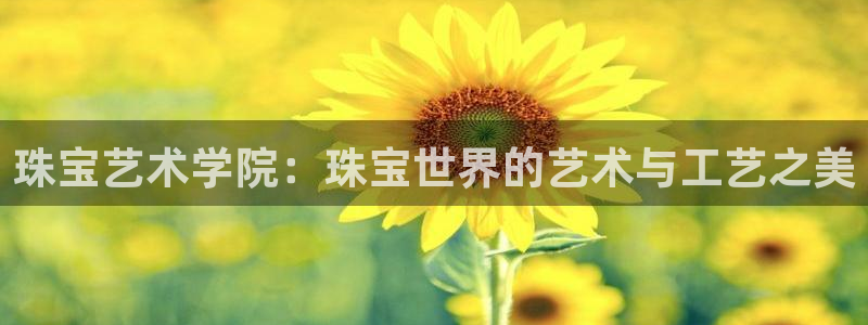 众腾娱乐得7O777：珠宝艺术学院：珠宝世界的艺术与工艺之美