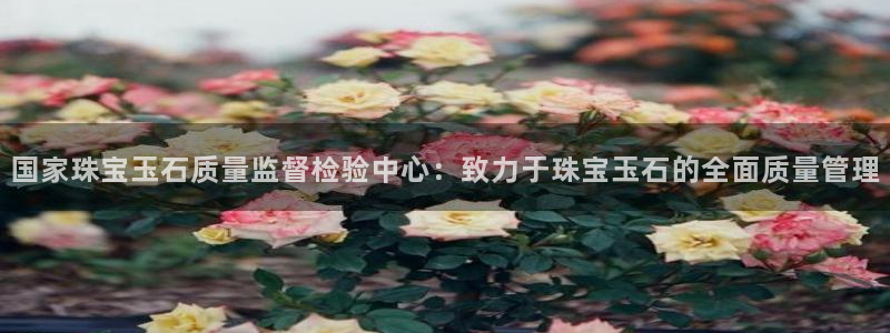 众腾娱乐蚀 7O935