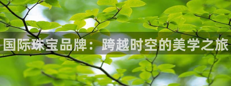 众腾娱乐集团有限公司：国际珠宝品牌：跨越时空的美学之旅