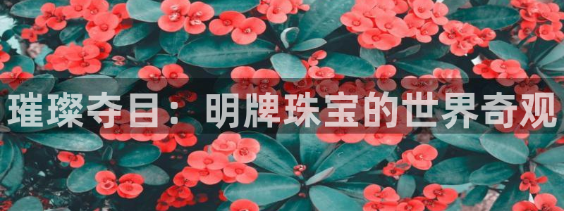 众腾娱乐登录：璀璨夺目：明牌珠宝的世界奇观