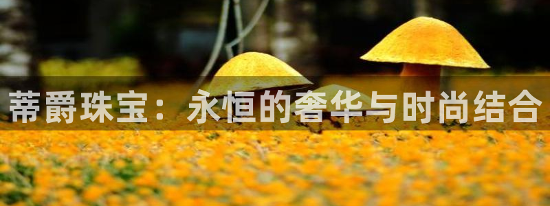 众腾娱乐公司简介