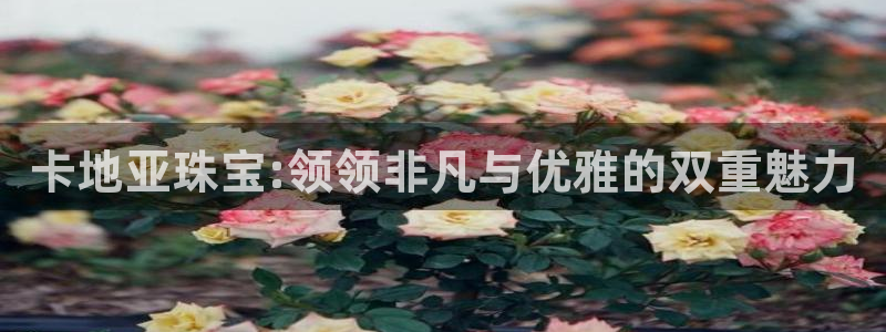 众腾娱乐得7O777