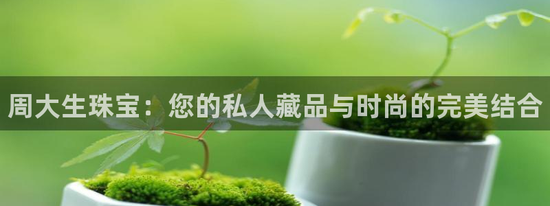 内蒙古众腾娱乐文化法人:周大生珠宝:您的私人藏品与时尚的完美