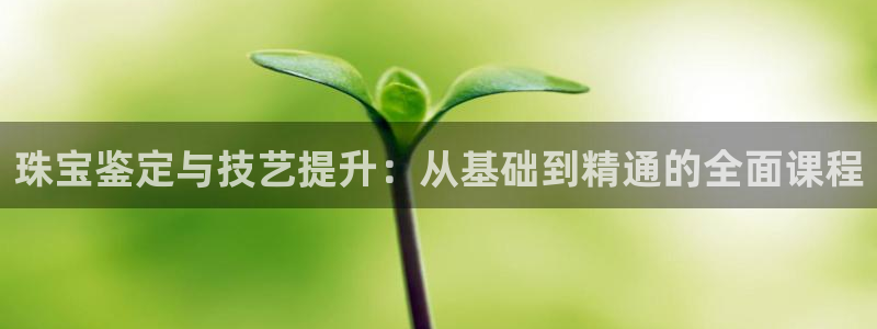 众联别墅g座上腾娱乐有限公司：珠宝鉴定与技艺提升：从基础到精