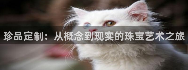 包头众腾娱乐：珍品定制：从概念到现实的珠宝艺术之旅