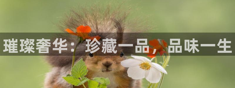 众腾娱乐下7O777