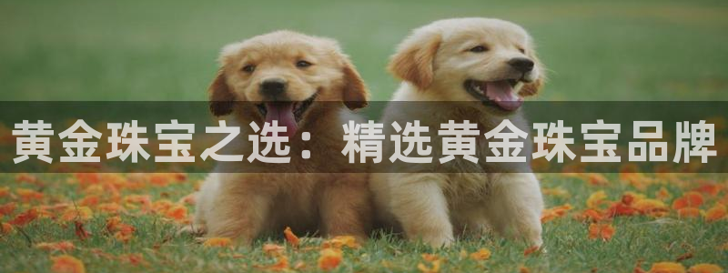 包头众腾娱乐密室逃脱：黄金珠宝之选：精选黄金珠宝品牌